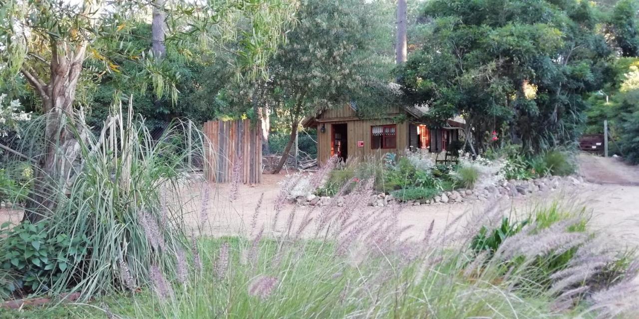 Las Chozas Пунта-дель-Есте Номер фото